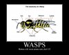 i_hate_wasps.jpg