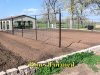 Garden_Rows_1.jpg