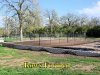 Garden_Rows_2.jpg