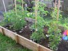 AddOnGardenBed.jpg