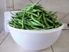 GreenBeans_060714.jpg