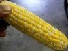 Corn_Harvest2_062514.jpg