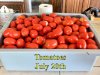 Tomato_Harvest_072014.jpg
