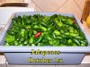 Jalapenos_100114.jpg