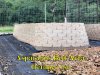Asparagus_Bed1_100114.jpg
