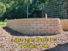 Asparagus_Bed1_101214.jpg