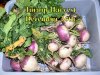 Turnip_Harvest_122614.jpg