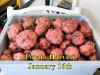 Potato Harvest_011615.jpg
