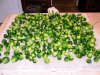 BrusselSprouts_030615.jpg