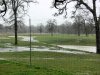 Rain1_030915.jpg