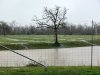 Rain2_030915.jpg