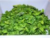 Spinach1_031515.jpg