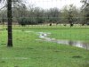 Rain1_032115.jpg
