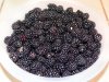 Dewberries_050715.jpg