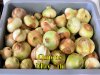 Onions_050715.jpg