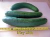 Cucumbers_052915.jpg