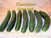 Cucumbers_060215.jpg