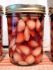 Pickled_Garlic2_061715.jpg