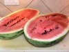 Watermelon1_072315.jpg
