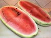 Watermelon_081215.jpg