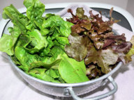 Lettuces_011016.jpg