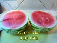 Watermelon_071316.jpg