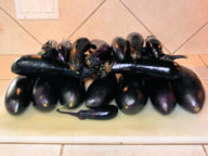 Eggplant_Harvest_052717.jpg