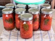 Canned_Tomatoes_061017.jpg