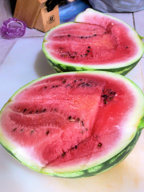 First_Watermelon_072917.jpg