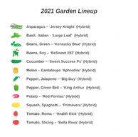2021 Spring_Garden_Lineup.jpg