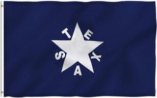 bonnie_blue_texas_flag-.jpg