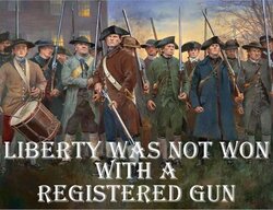 gun liberty won.jpg
