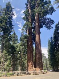 IMG_2896.jpeg