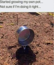 pot.jpg