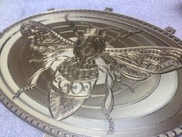 IMG_3103.jpeg