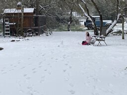 IMG_3368.jpeg