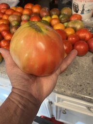 IMG_3922.jpeg