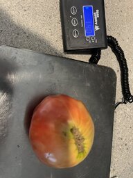 IMG_3920.jpeg