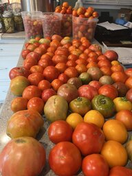 IMG_3921.jpeg