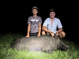 Big_Hog.jpg